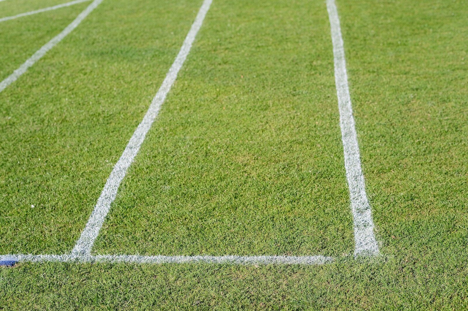 Verschillende typen sportvelden en hun inrichting